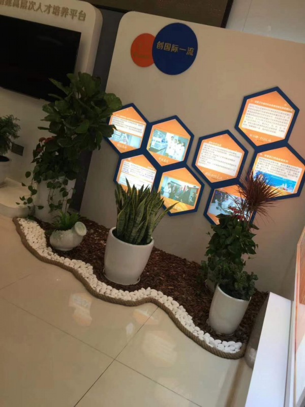 藝術(shù)組合盆景