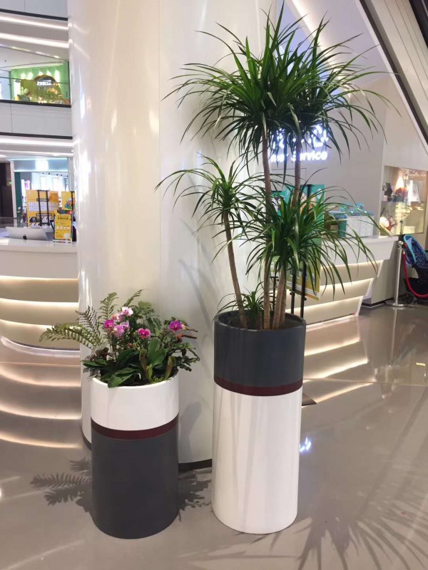 藝術(shù)組合盆景