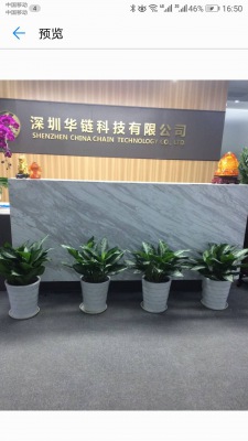 中型室內(nèi)植物